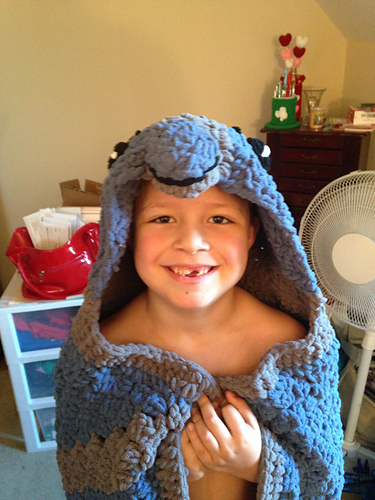 Dolphin Blanket photo 4