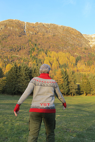 Turgenser YST - Lene Hansen Kvamsdal