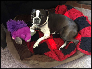 Peyton on her bed.