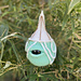 Lantern Wisp Grimthorn Hollow pattern