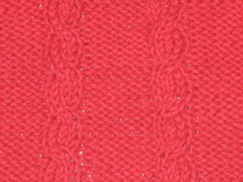 Easy Cabled Dishcloth photo 2