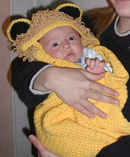 Lion Baby Wrap photo 2