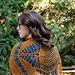 We Rise - 2026 Rose City Yarn Crawl MCAL pattern 