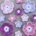 Wild Rose Flower pattern 