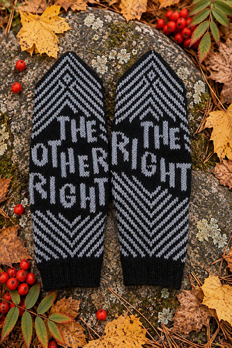 The Left is Right Mittens