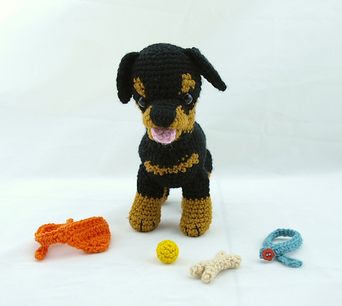 Rottweiler puppy accessories photo 1