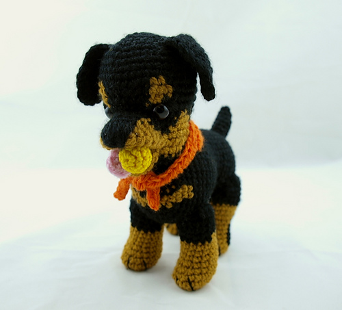 Rottweiler puppy accessories photo 2