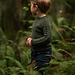 Vine Pullover pattern