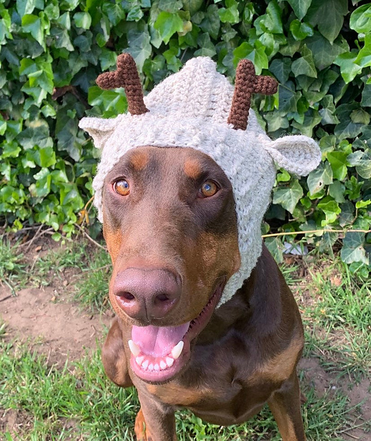 Ravelry: Dog Antler Snood pattern by Sarah Petersen