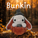 Bunkins the bunny pattern