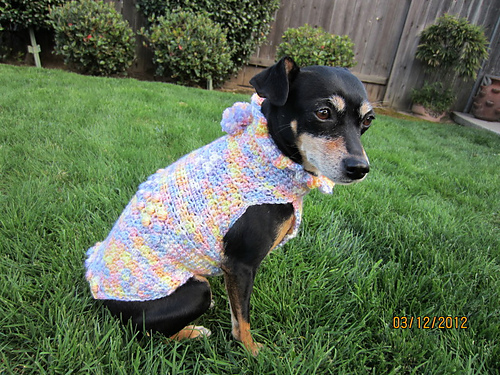 Dog or Cat Sweater photo 3