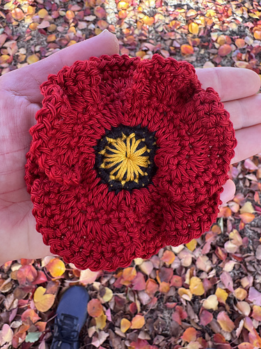 Poppy Flower photo 6