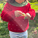 Strawberry Sweater pattern 