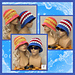 Mesh Cotton Sunhat pattern 
