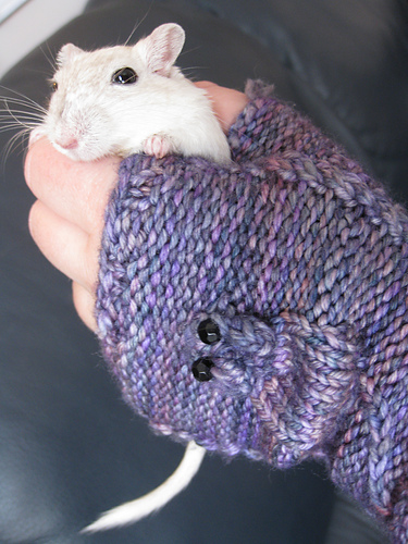 Squeaky Mittens photo 3