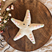 Starfish Yarnling pattern
