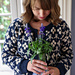 Midsommar Cardigan pattern