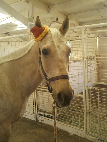 Candy Corn Horse Hat photo 6