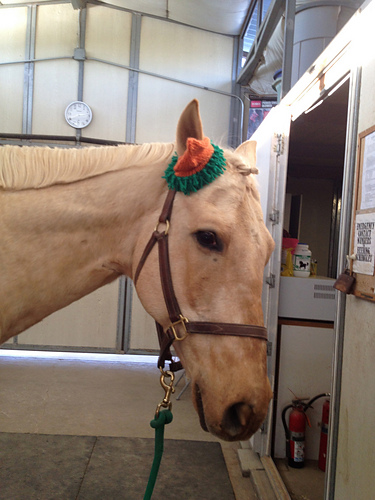 Carrot Top Horse Hat photo 3