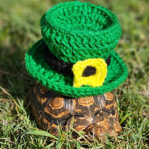 Mini Leprechaun Clip On Hat photo 4