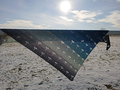 Vážky od cípu (Dragonflies)