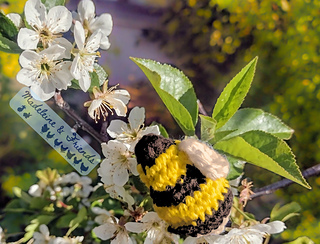 A black and yellow crochet bee sitting amongst white cherry flowers.