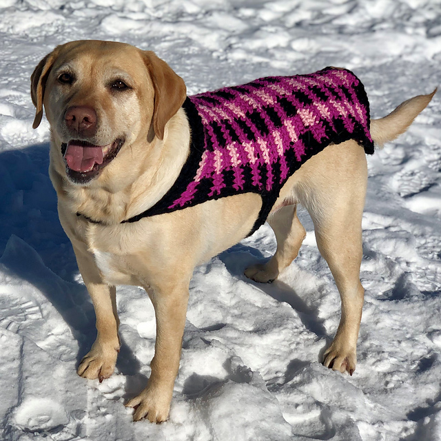 Ravelry Plaid Dog Sweaters pattern by Shari Reid