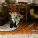 Barley the Tiny Bear photo 4