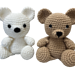 Teddy Bear photo 3