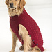 Clifford Dog Sweater pattern 