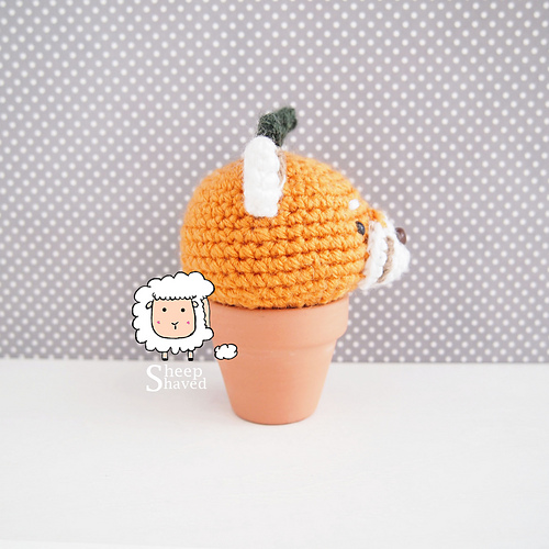 Rød panda-plante - Sheep Shaved