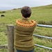 Heogland Sweater pattern
