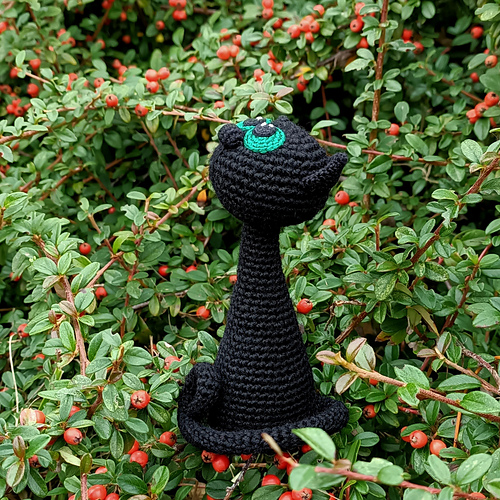 Svart katt - Julia Shoti