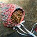 Croc Bonnet - Birth-12mo photo 4