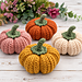 Cozy Harvest Pumpkin pattern