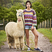 Alpaca Ripple Jumper pattern 