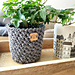 Julie Basket photo 3
