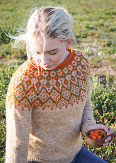 Luomejeaggi – Cloudberry Bog