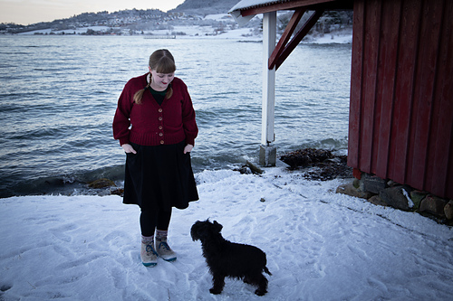 Austfjord - Skeindeer Knits