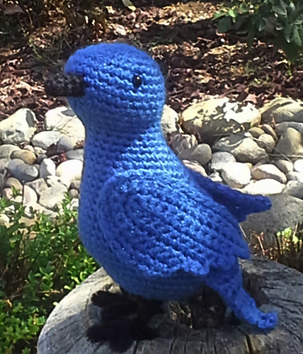 Cute Bird photo 6