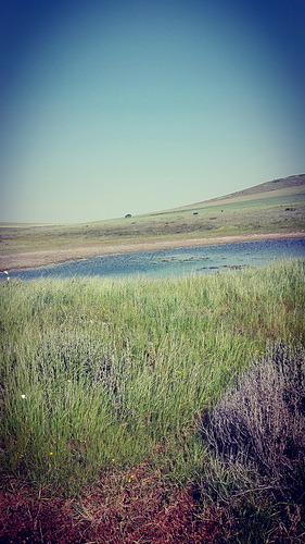 Tienie Versfeld nature reserve