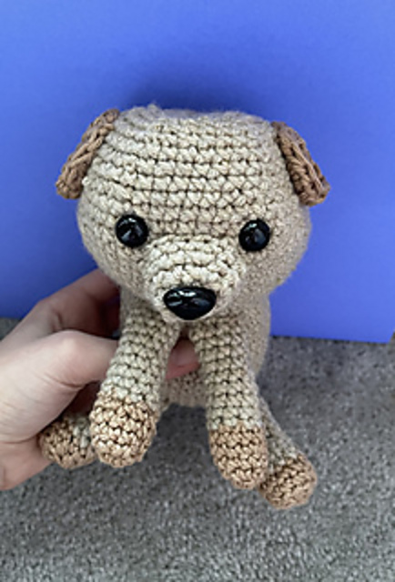 Puppy