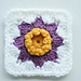 Purple Daisy Granny Square pattern 