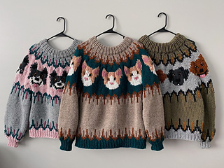 kitty cat sweater