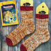 Stack of Books DK Socks pattern