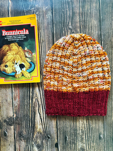Stack of Books Hat