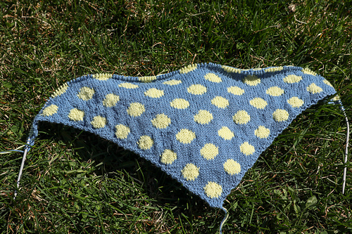 Dottie Bandana