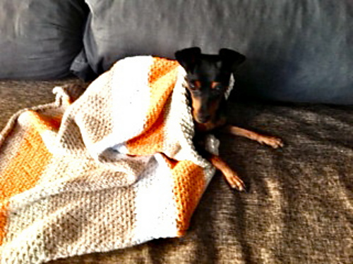 Lou blanket photo 4