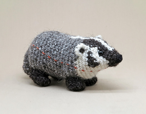 Chumpie the American badger