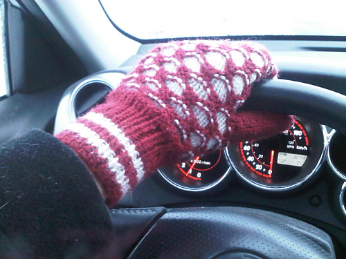 Newfie Mitts photo 11